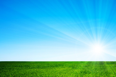 Similar image 632130