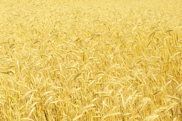 Similar image 632152