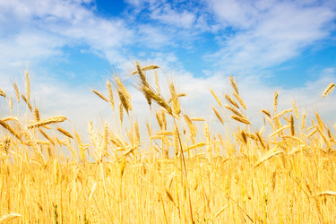 Similar image 632153