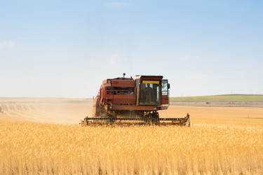 Similar image 632155