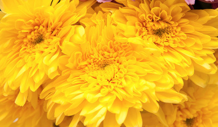 Similar image 632168