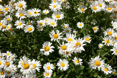 Similar image 632170