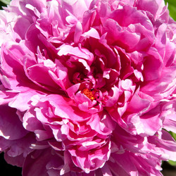 Similar image 632173