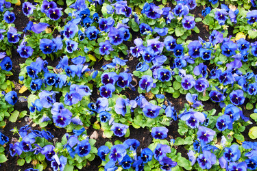 Similar image 632180