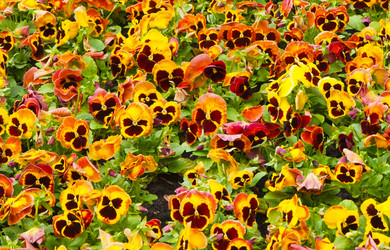 Similar image 632182