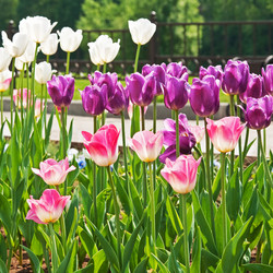 Similar image 632185