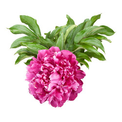 Similar image 632187