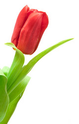 Similar image 632189