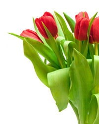 Similar image 632191