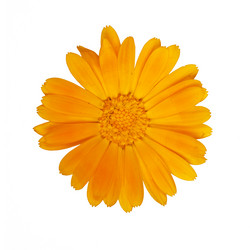 Similar image 632194