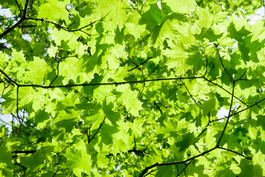 Similar image 632251