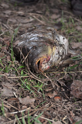 Similar image 632253