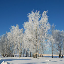 Similar image 632263