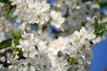 Similar image 632277