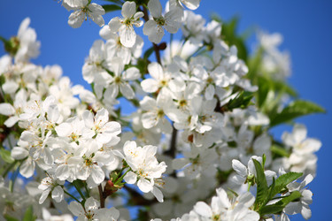 Similar image 632278