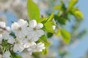 Similar image 632279