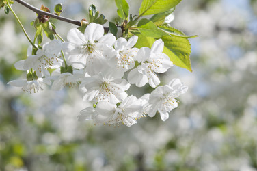 Similar image 632281