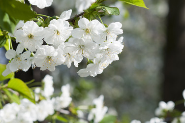 Similar image 632282