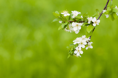 Similar image 632283