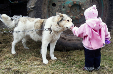 Similar image 632284