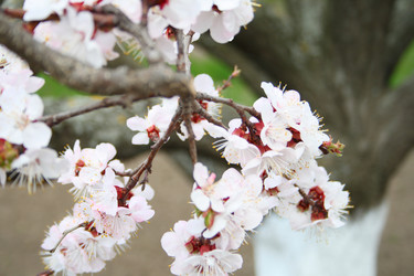 Similar image 632286