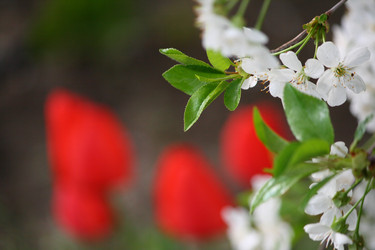 Similar image 632289