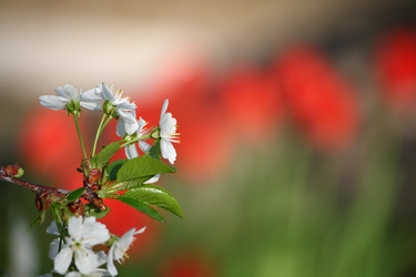 Similar image 632290