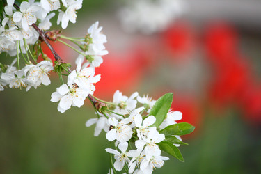 Similar image 632291