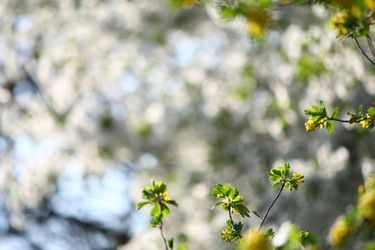 Similar image 632298