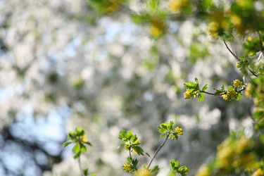 Similar image 632299