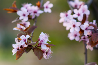 Similar image 632306