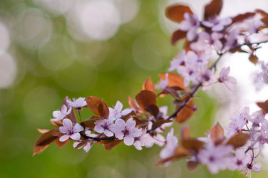 Similar image 632307