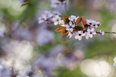 Similar image 632308