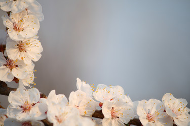 Similar image 632309