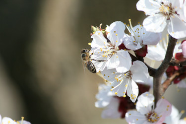 Similar image 632310