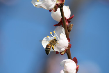 Similar image 632311