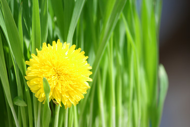 Similar image 632321