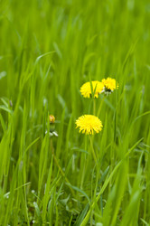 Similar image 632324