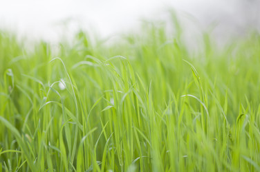 Similar image 632327