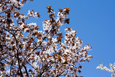 Similar image 632328