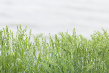 Similar image 632336