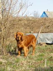 Similar image 632357