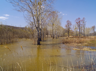 Similar image 632370