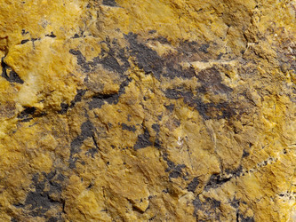 Similar image 632476