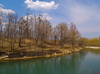 Similar image 632478