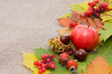 Similar image 632496