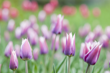 Similar image 632507