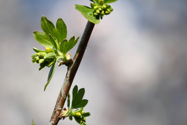 Similar image 632508