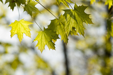 Similar image 632510