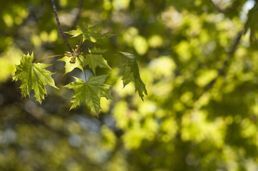 Similar image 632511